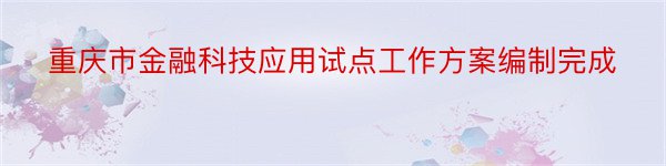 重庆市金融科技应用试点工作方案编制完成